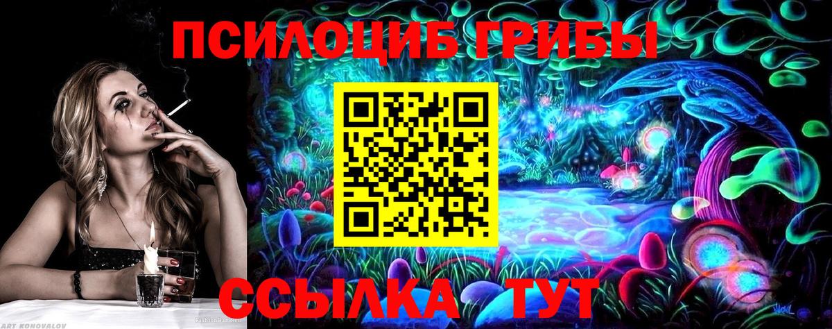 Псилоцибиновые грибы Cubensis  Псилоцибиновые грибы прущие грибы  Вход с VPN  Дзержинский 