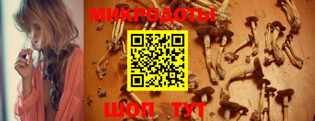 Псилоцибиновые грибы Magic Shrooms Дзержинский